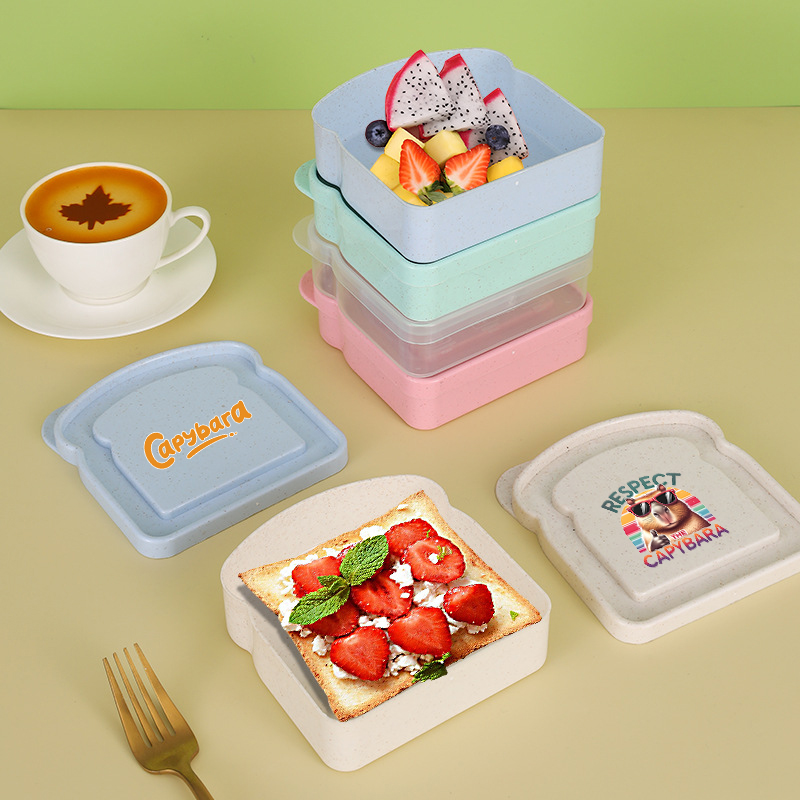 Capybara Sandwich Food Storage - Food Storage Plastic Boxes recension och pris