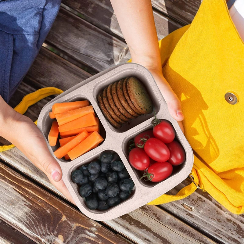 4 Grids Food Storage Box Porta - Food Storage Plastic Boxes recension och pris