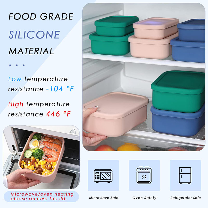 Leak-Resistant Bento Lunch Box - Storage Food Prep recension och pris